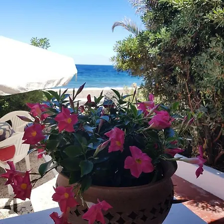 Vacanze *